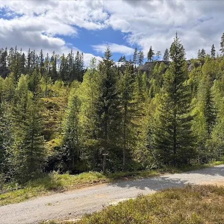 Simple And Cozy Forest Daire Eidsstryken