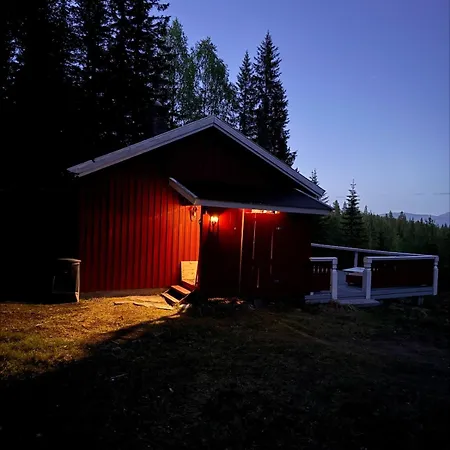 Simple And Cozy Forest *