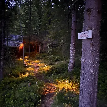 Simple And Cozy Forest Daire